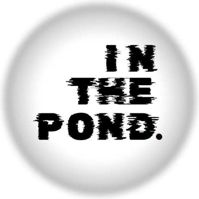 INTHEPOND创始人dekko：不做中医翻译器，要做身体对话仪